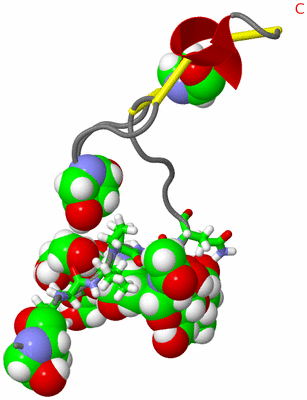 Image NMR Structure - model 1, sites