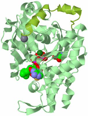 Image Asym./Biol. Unit