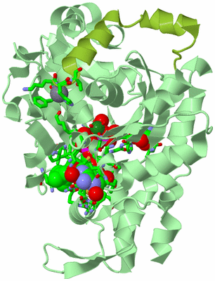 Image Asym./Biol. Unit - sites