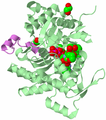 Image Biological Unit 1