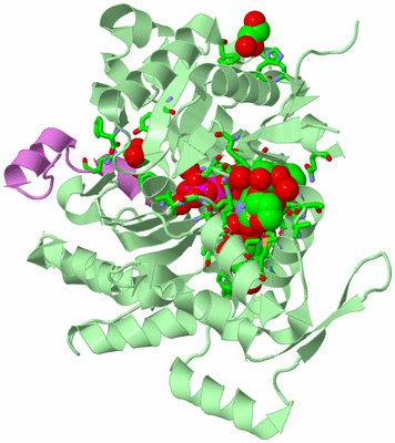 Image Biol. Unit 1 - sites