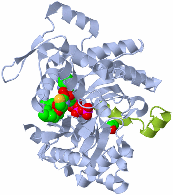 Image Biological Unit 2