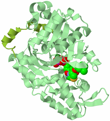 Image Asym./Biol. Unit