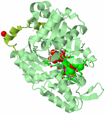 Image Asym./Biol. Unit - sites