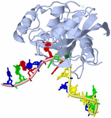 Image Biological Unit 1