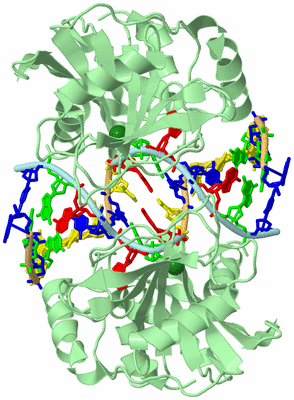 Image Biological Unit 4