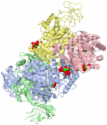 Image Biological Unit 1