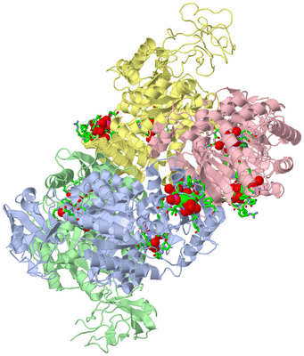 Image Biol. Unit 1 - sites