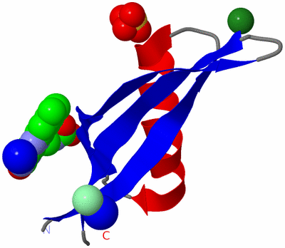 Image Asymmetric Unit