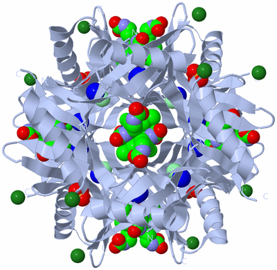 Image Biological Unit 1