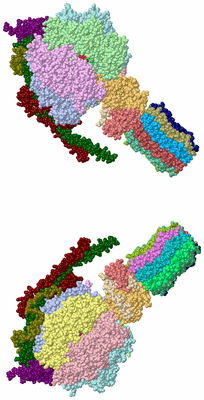 Image Asym./Biol. Unit