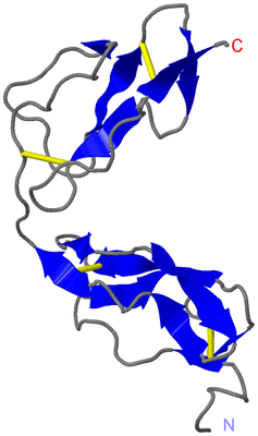 Image NMR Structure - model 1