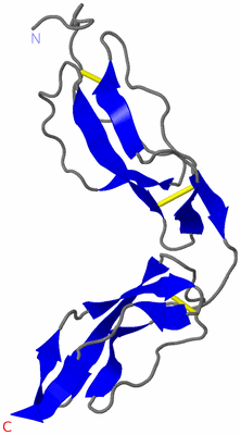 Image NMR Structure - model 1