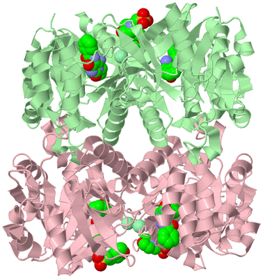 Image Biological Unit 2