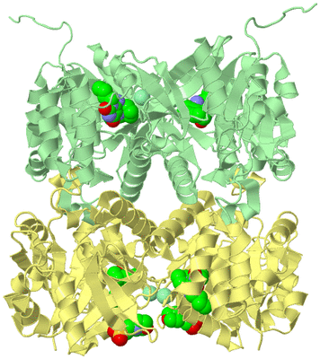 Image Biological Unit 2