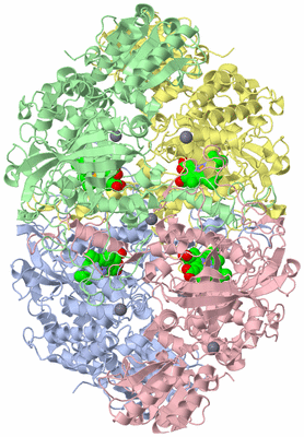 Image Asym./Biol. Unit