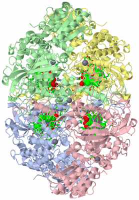 Image Asym./Biol. Unit - sites