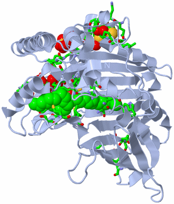 Image Biol. Unit 1 - sites