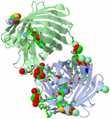 Image Asym./Biol. Unit - sites