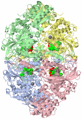 Image Asym./Biol. Unit