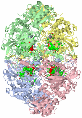 Image Asym./Biol. Unit - sites