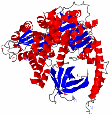 Image Asym./Biol. Unit