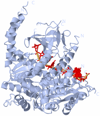 Image Biological Unit 1