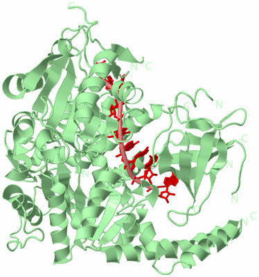 Image Biological Unit 2