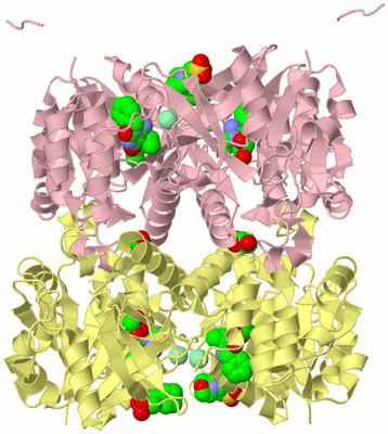 Image Biological Unit 2