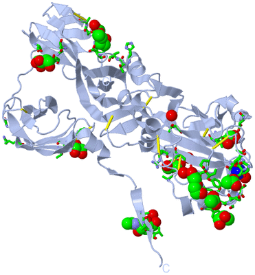 Image Biol. Unit 1 - sites