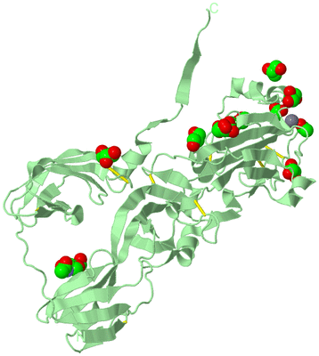 Image Biological Unit 2