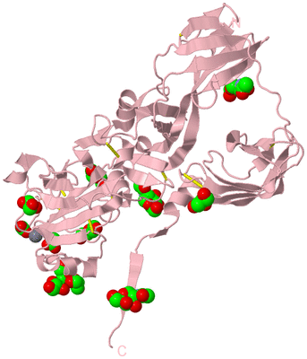 Image Biological Unit 3