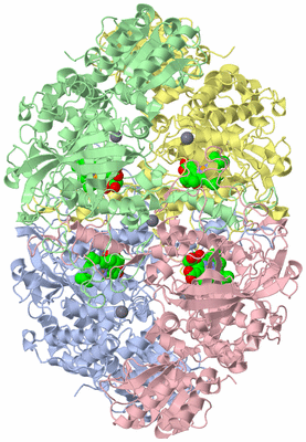 Image Asym./Biol. Unit