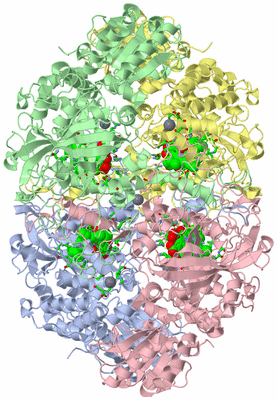 Image Asym./Biol. Unit - sites