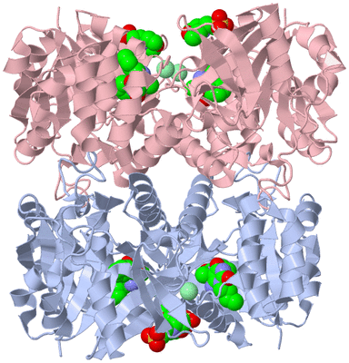 Image Biological Unit 1