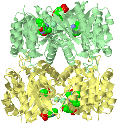 Image Biological Unit 2