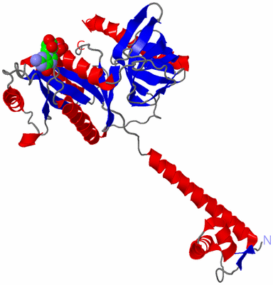 Image Asym./Biol. Unit