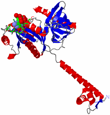 Image Asym./Biol. Unit - sites