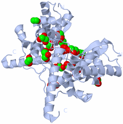 Image Biological Unit 1