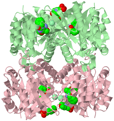 Image Biological Unit 2