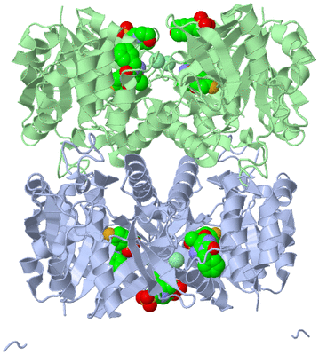 Image Biological Unit 1