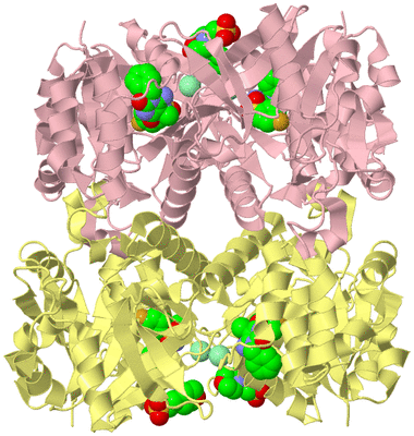 Image Biological Unit 2