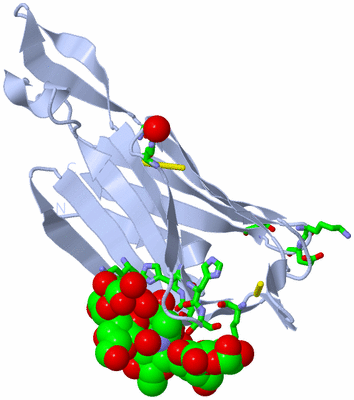 Image Biol. Unit 1 - sites