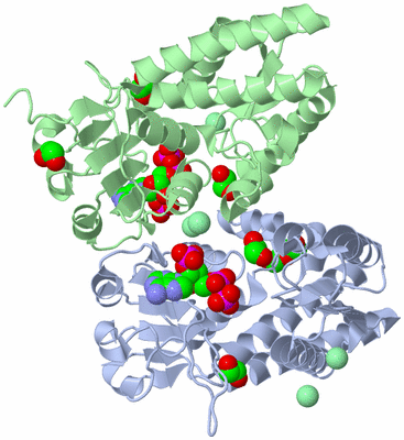 Image Asym./Biol. Unit