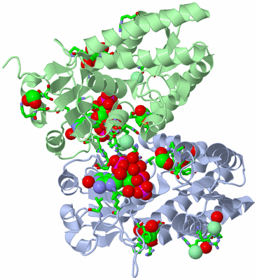 Image Asym./Biol. Unit - sites