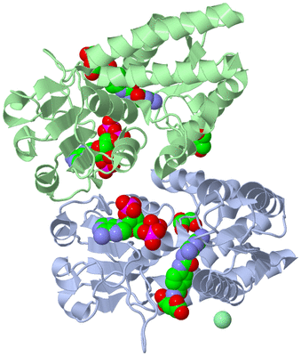 Image Asym./Biol. Unit