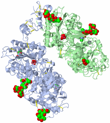 Image Asym./Biol. Unit