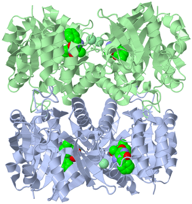 Image Biological Unit 1