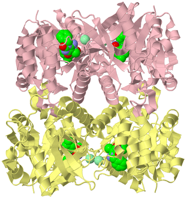 Image Biological Unit 2