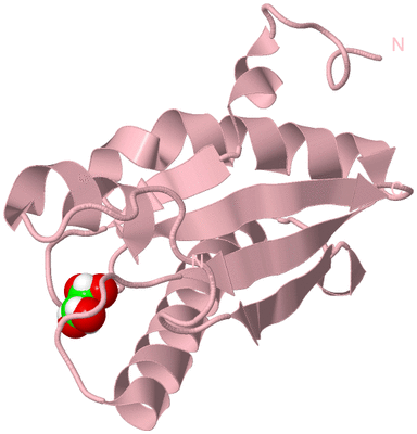 Image Biological Unit 3